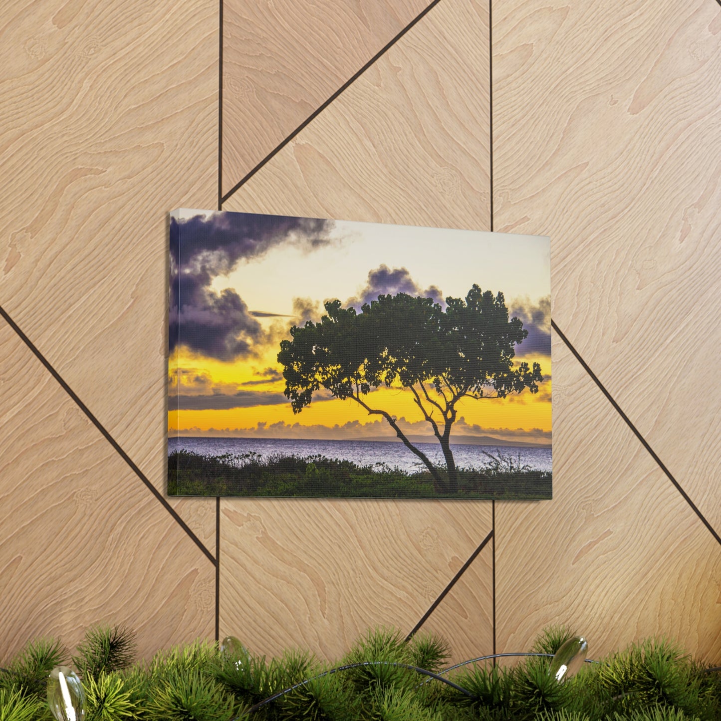 Canvas Print A Banyan Tree At Sunset In Hawaii For Wall Art