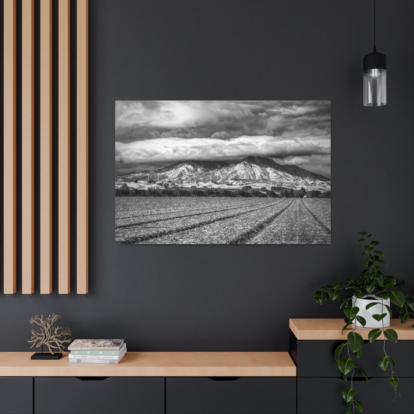 Canvas Print Of Mount Diablo In California For Wall Art