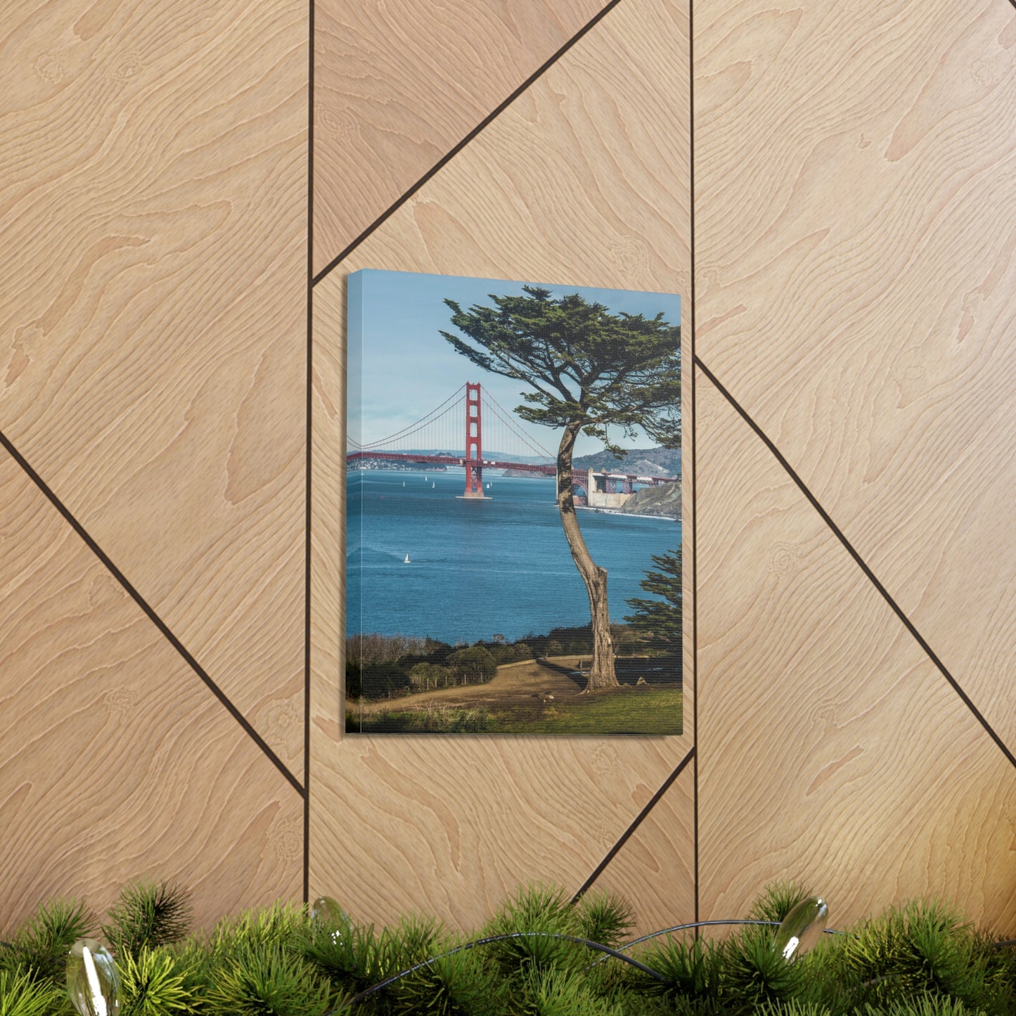 Canvas Print Of A Cypress Tree And Golden Gate Bridge In San Francisco For Wall Art