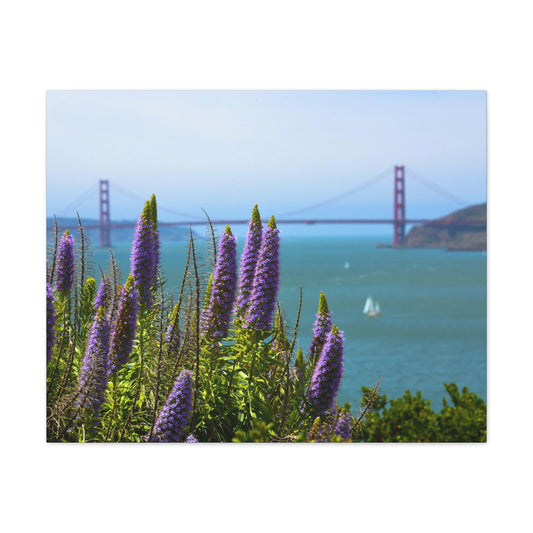 Canvas Print Of Flowers And The Golden Gate Bridge In San Francisco For Wall Art