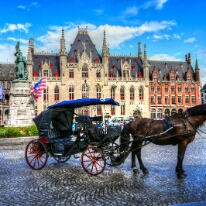Bruges Horse Square 1