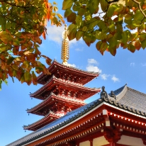 Sensoji Temple 5.0 Sensoji Temple