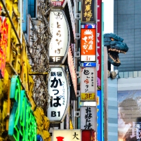 Shinjuku Gozilla 1.1 Godzilla in Shinjuku