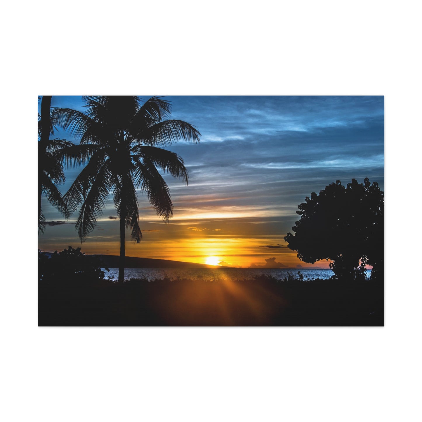 Canvas Print Of Palm Trees At Sunset In Hawaii For Wall Art