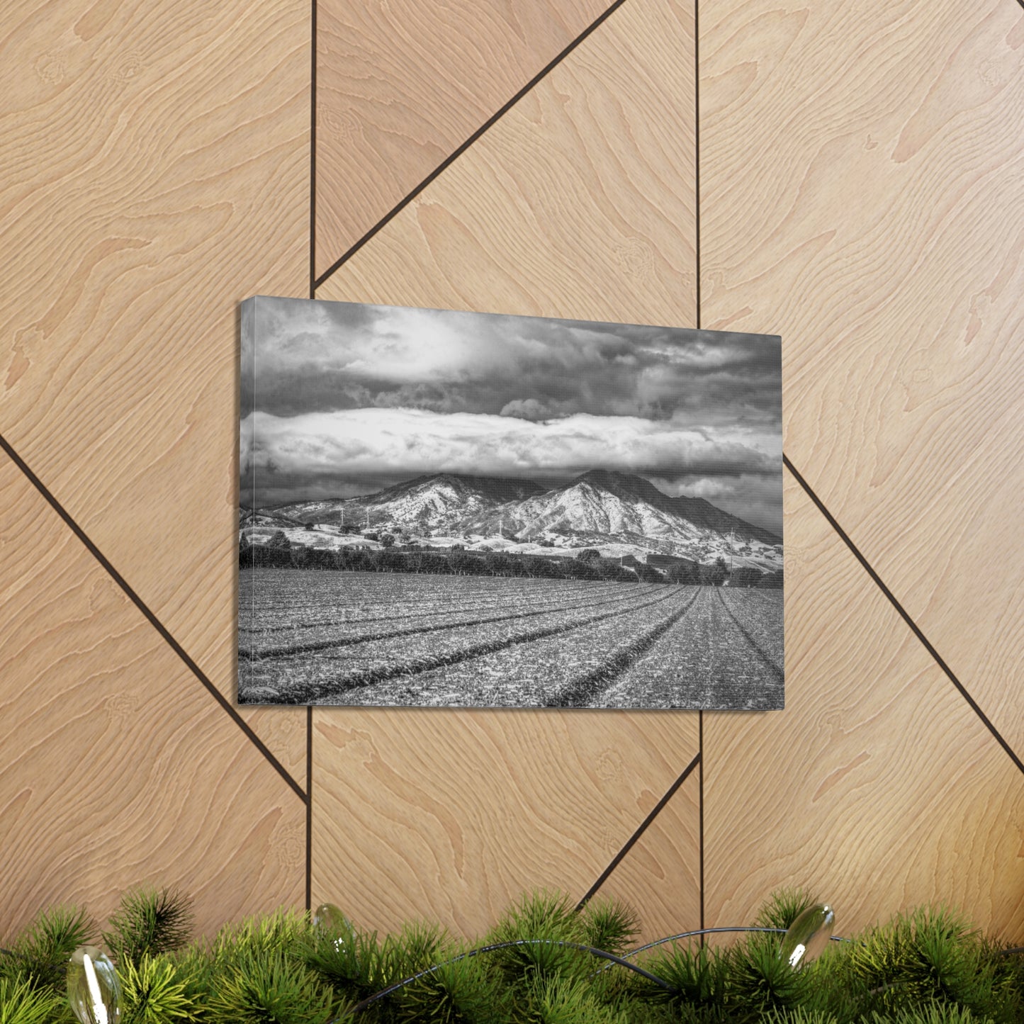 Canvas Print Of Mount Diablo In California For Wall Art