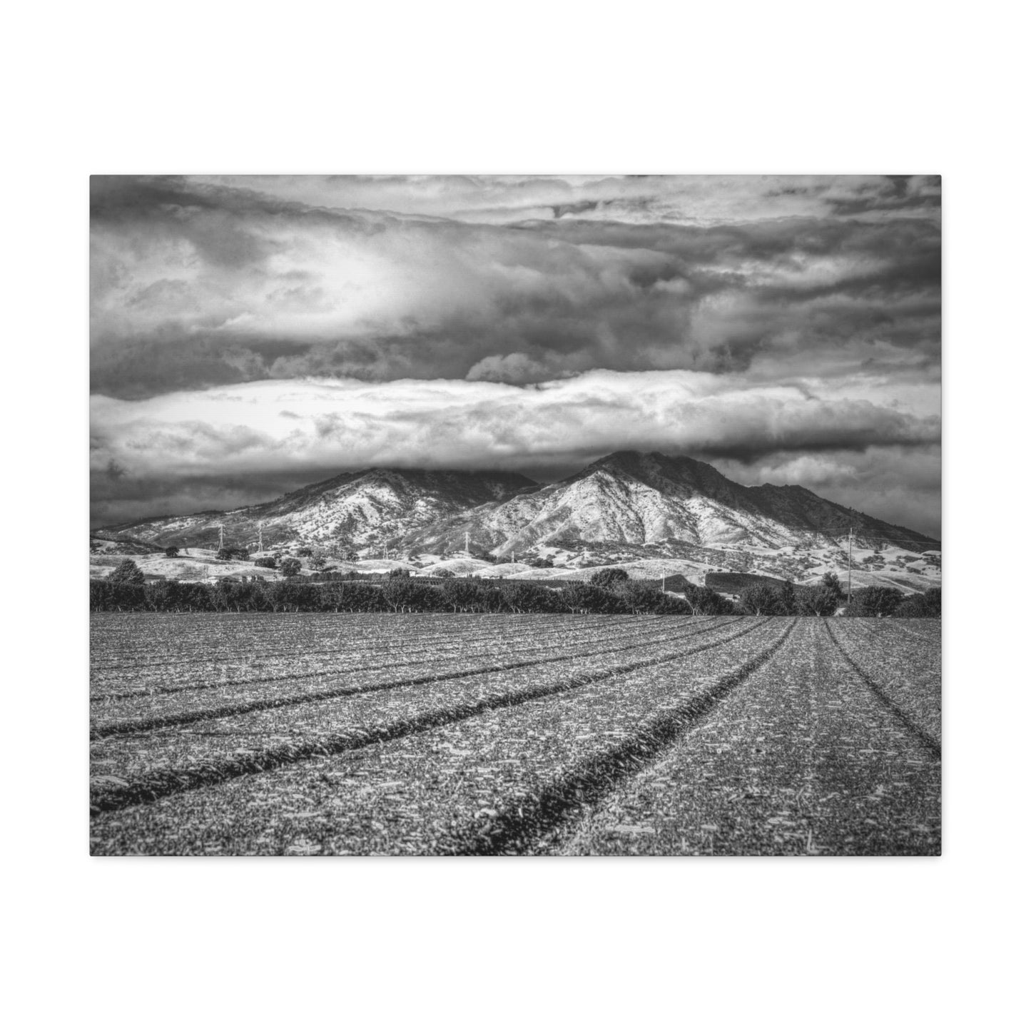 Canvas Print Of Mount Diablo In California For Wall Art